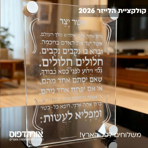 אור הדפוס מיתוג מוצרים, הדפסות וחריטה בלייזר ערכות ממותגות למאמנים בגדי ספורט וציוד אימון עם לוגו